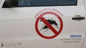 Mosquito-da-dengue_Foto-Henrique-Arakaki