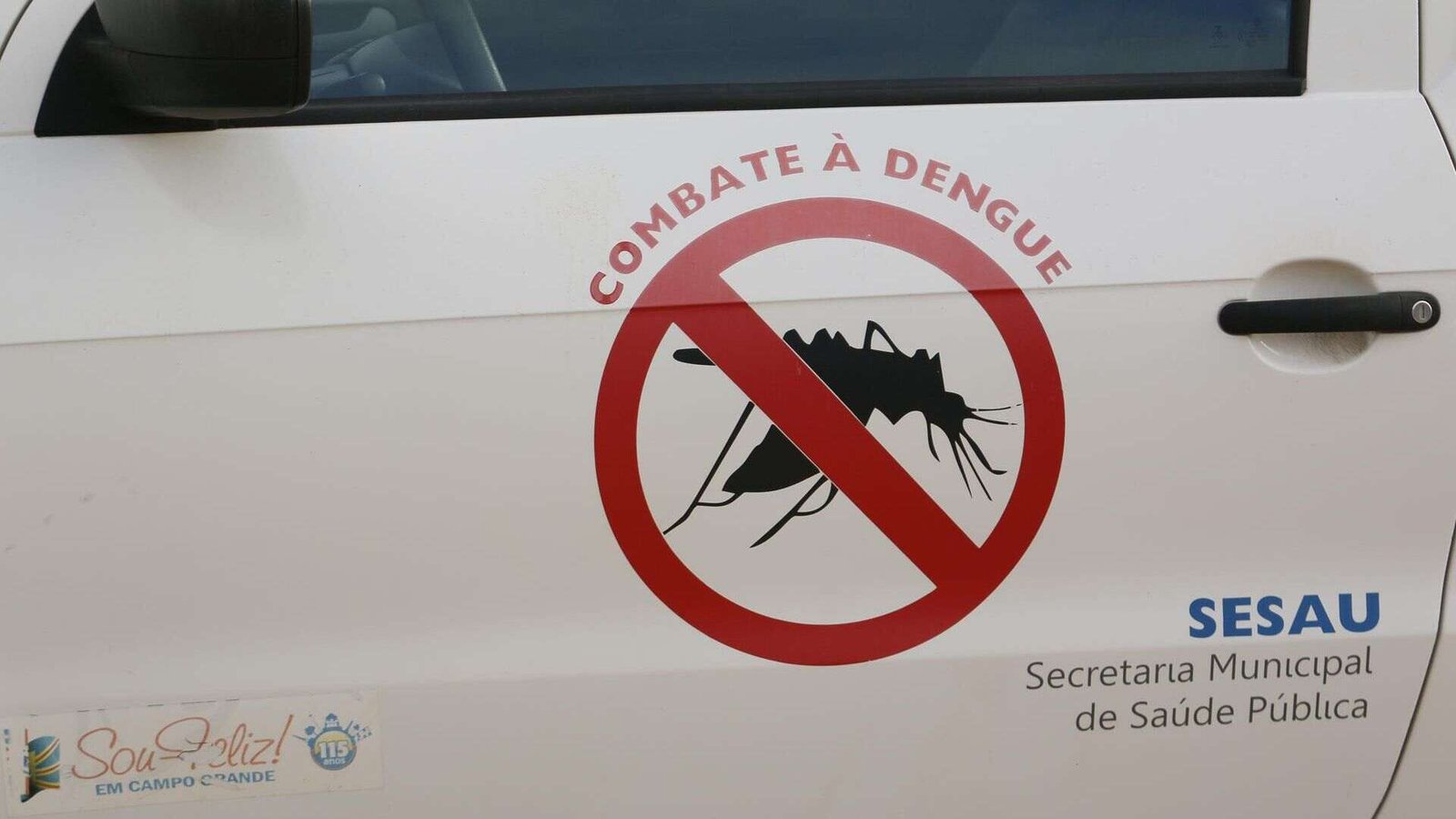 Mosquito-da-dengue_Foto-Henrique-Arakaki