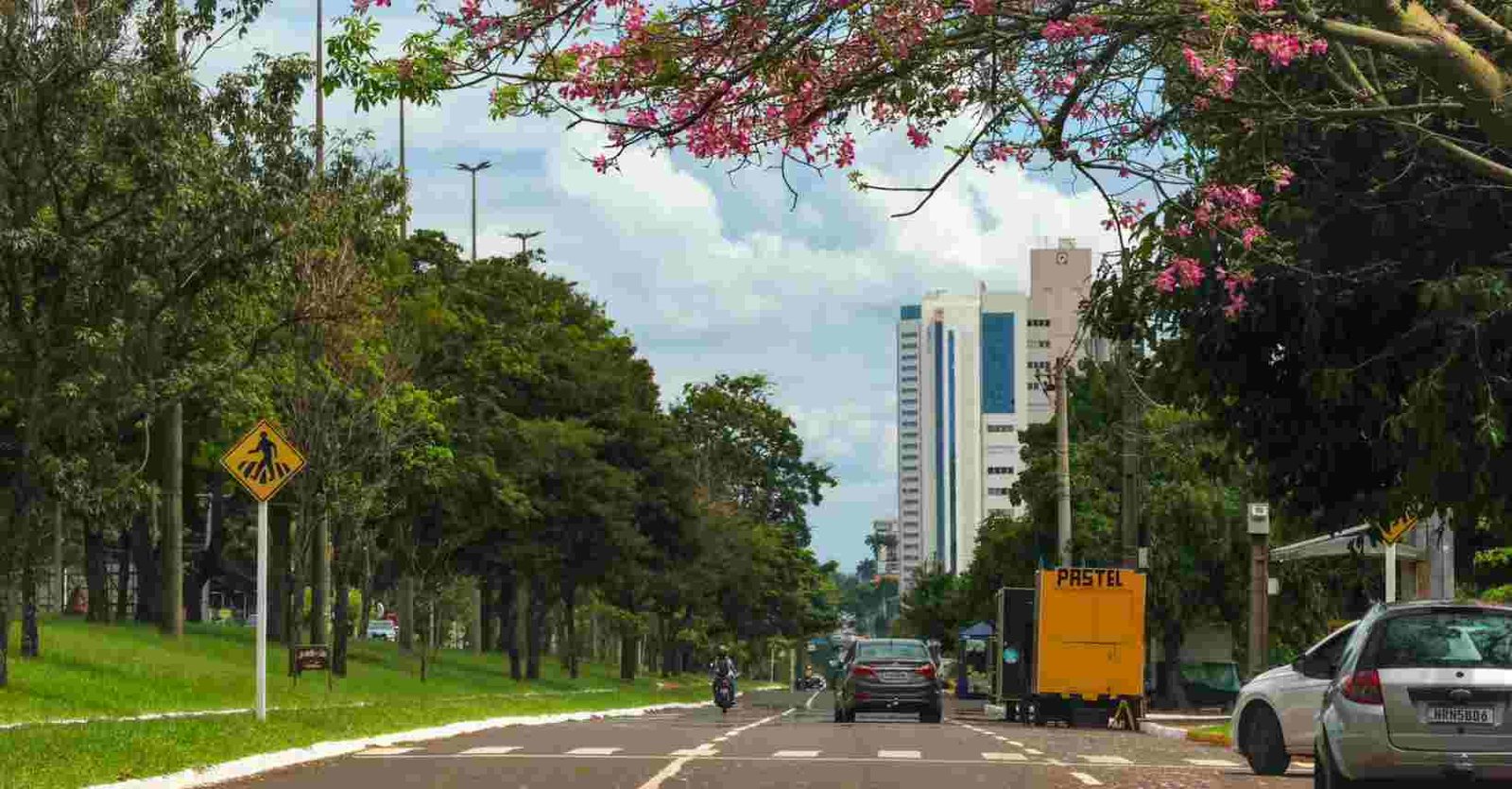 Novo-Projeto-2024-03-25T133154.318