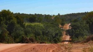 pantanal