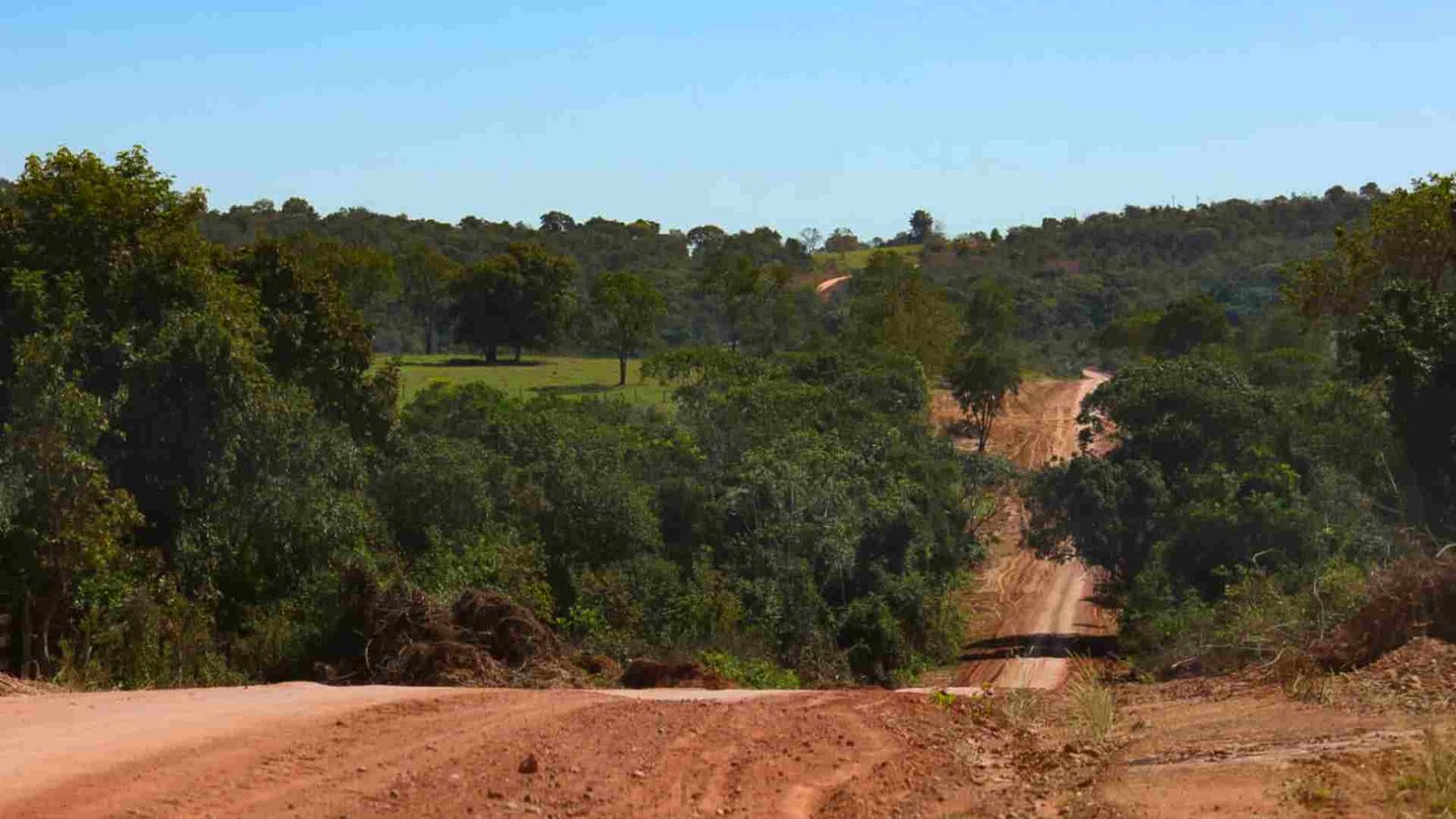 pantanal