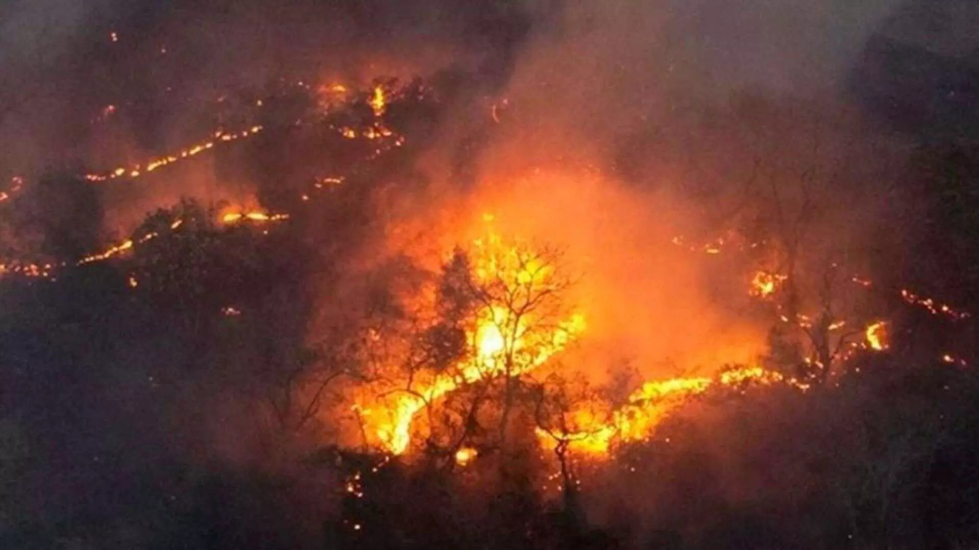 Incendio-florestal-em-2019-em-MS_Foto-DivulgacaoPrevFogoMS