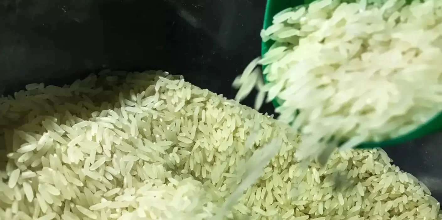 arroz