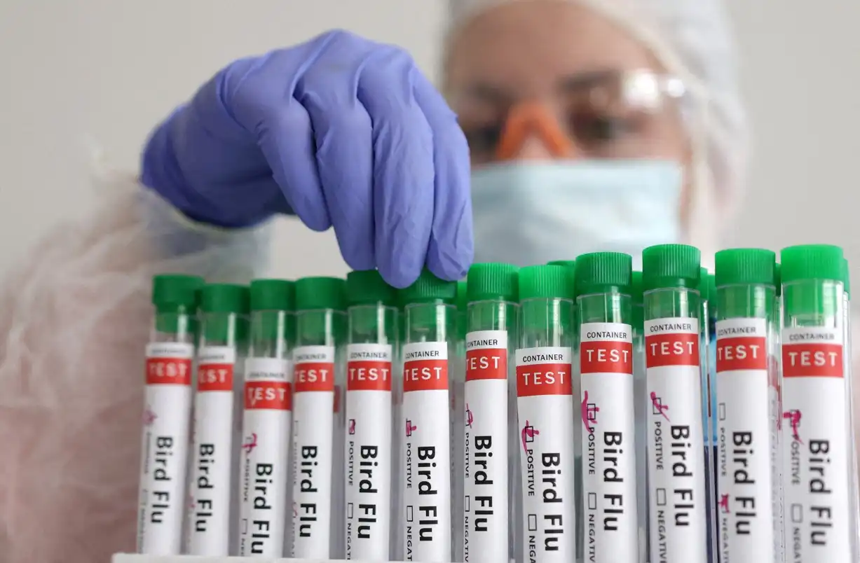 2024-06-05T213031Z_1_LYNXMPEK540XY_RTROPTP_4_HEALTH-BIRDFLU-EU