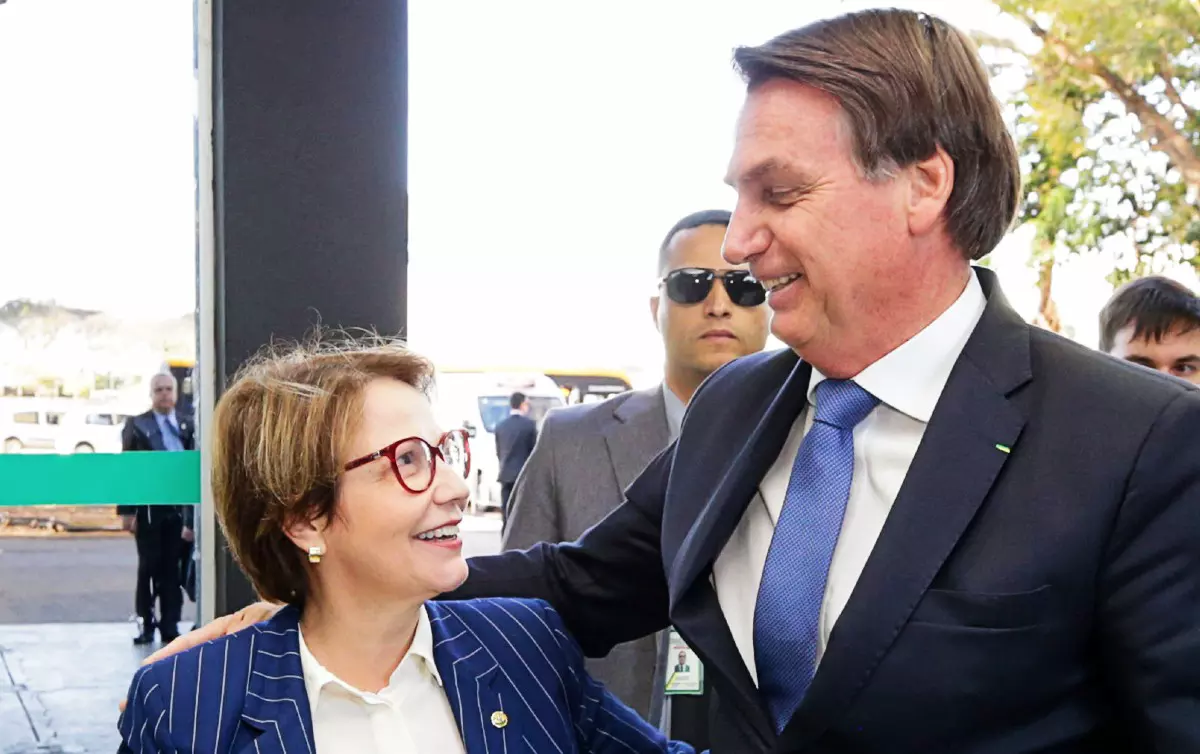 Bolso_Teresa