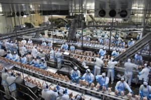 exportacao-de-industrializados-de-ms-alcanca-us-237-bilhoes-entre-janeiro-e-maio-17187920555376-thumb