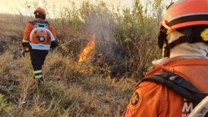 incendio-florestal-corumba-reproducao-1