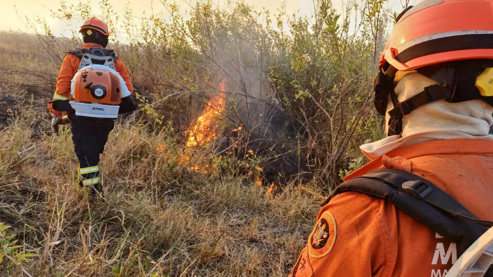 incendio-florestal-corumba-reproducao-1