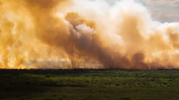 incendio_pantanal_Guilherme-Giovanni