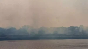 Incendio_Pantanal_Corumba-Foto-Henrique-Arakaki