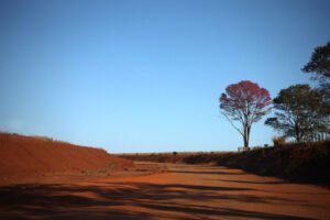 com-baixa-umidade-do-ar-e-sol-ms-tem-previsao-de-semana-quente-e-sem-chuva-17216515013446-thumb
