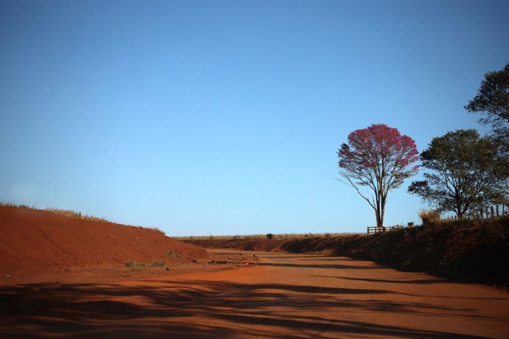 com-baixa-umidade-do-ar-e-sol-ms-tem-previsao-de-semana-quente-e-sem-chuva-17216515013446-thumb