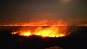 incendio_corumba_henrique_arakaki