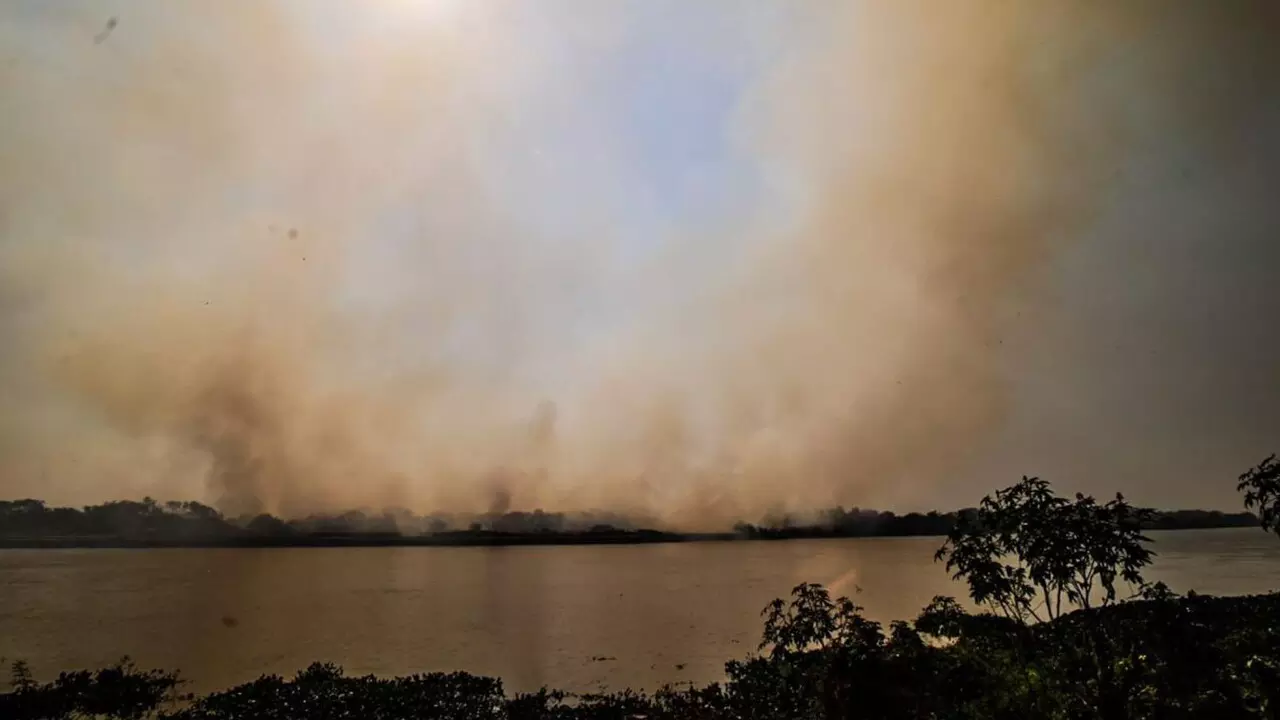 queimada_corumba_henrique_arakaki