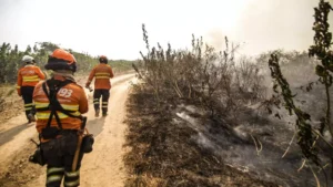 incendio-florestal-Pantanal-Henrique