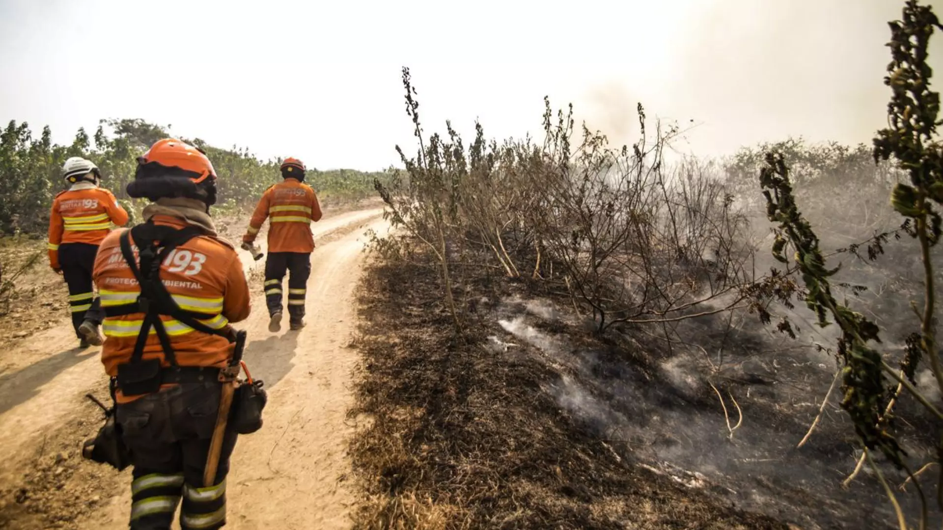 incendio-florestal-Pantanal-Henrique