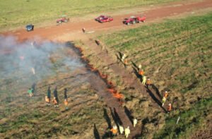 ms-se-destaca-na-implementacao-do-manejo-integrado-do-fogo-como-prevencao-a-incendios-17225121439319-thumb