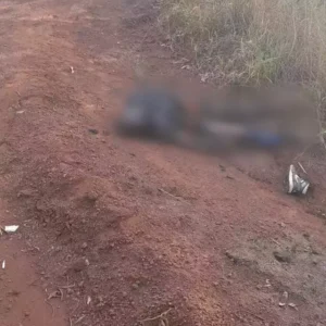 1j417esfimoqf