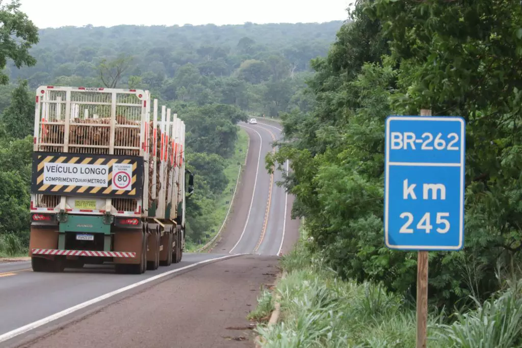 BR-262-1024x683-1