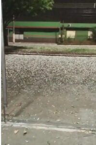 Captura de tela 2024-09-20 215658