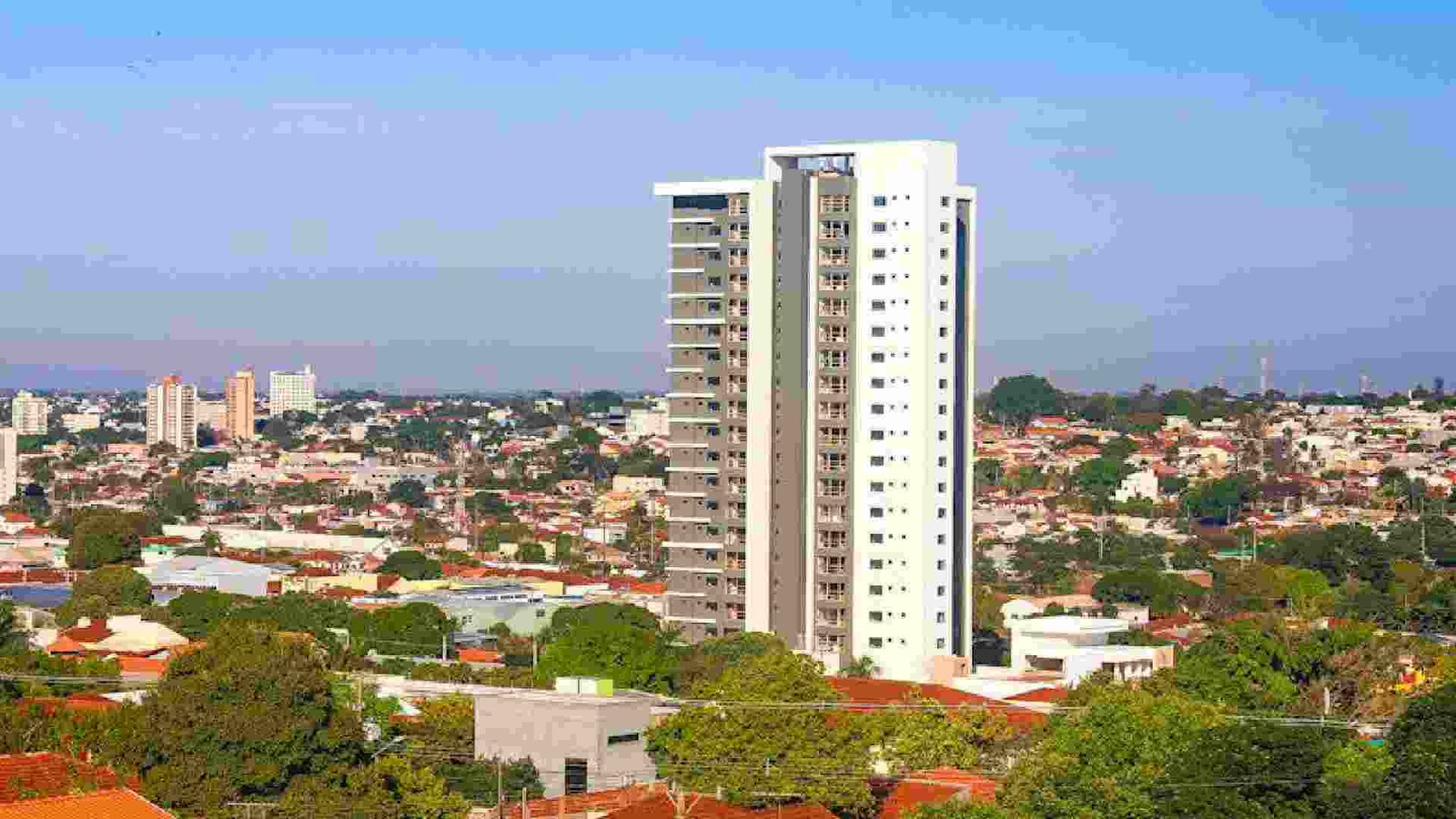 Novo-Projeto-2024-07-11T140620.879