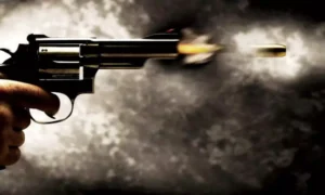 arma-de-fogo-1000x600-1