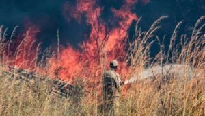incendio_henrique_arakaki-6