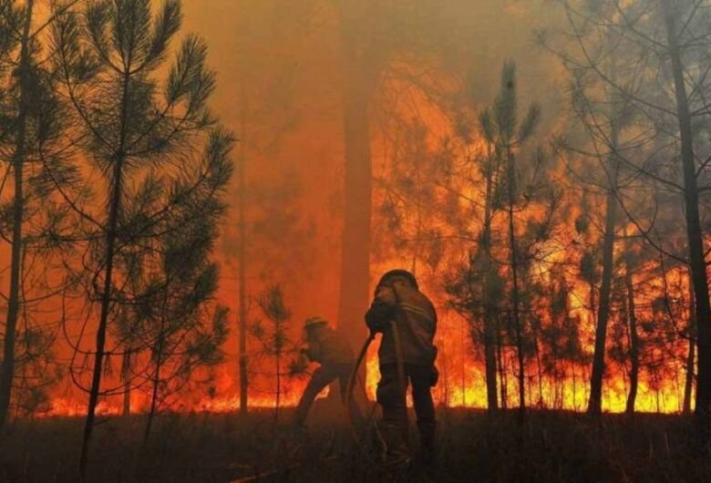 incendios-florestais2-730x480