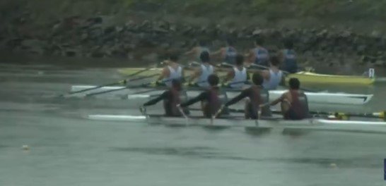 Captura de tela 2024-10-21 131218