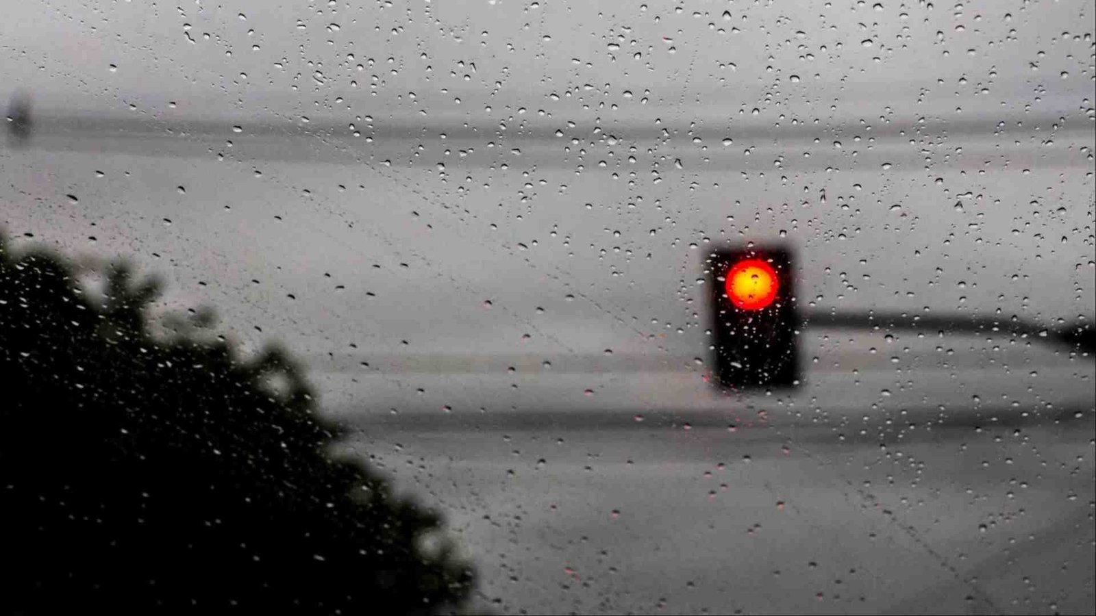chuva-laura