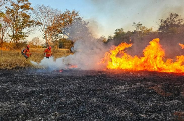 mesmo-apos-chuvas-pantanal-tem-quatro-focos-de-incendios-ativos-1729089650117-thumb