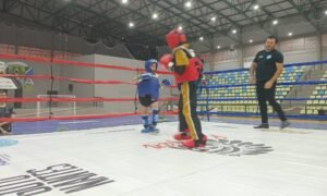 Captura de tela 2024-11-13 110548