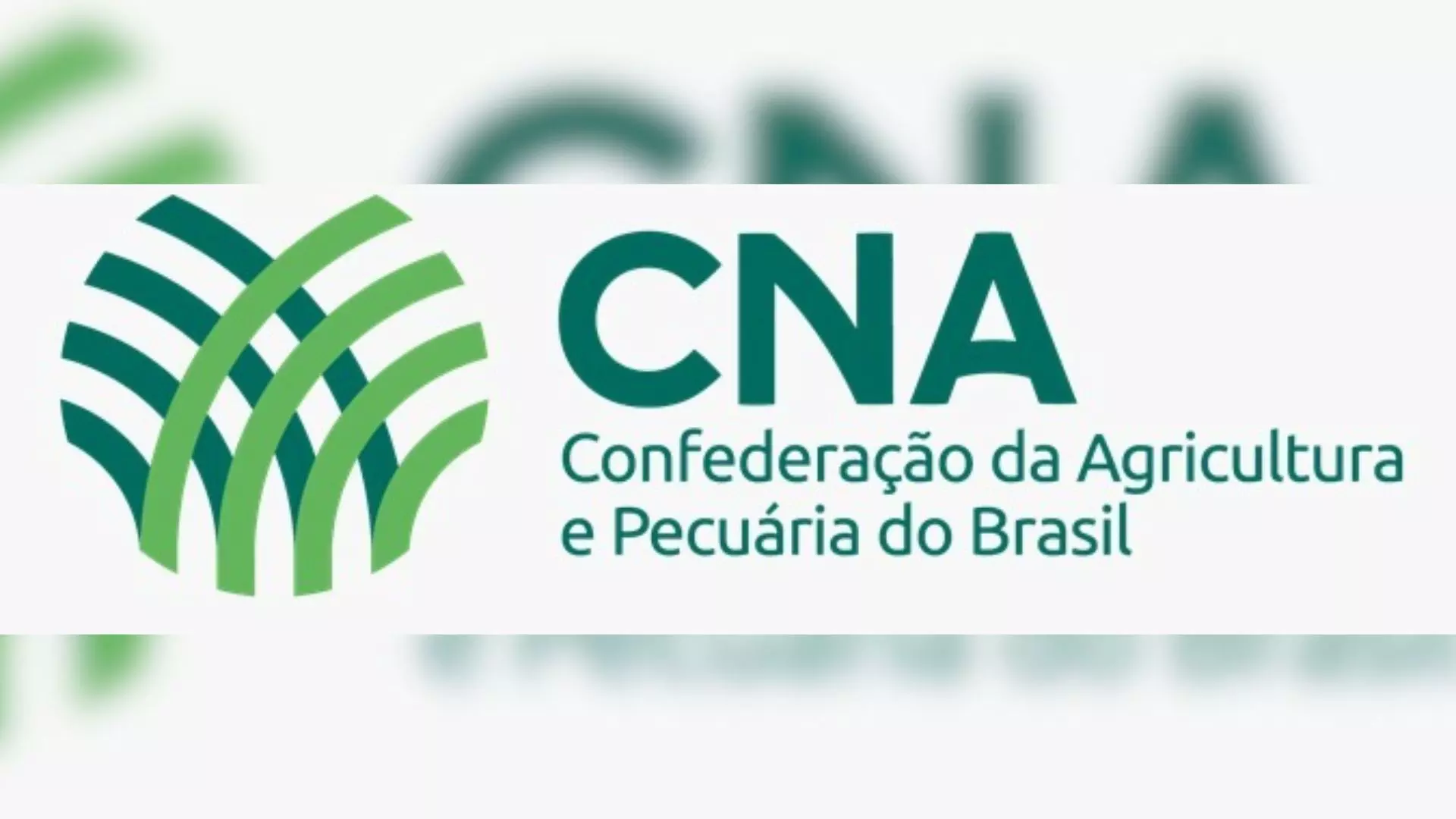 Design-sem-nome-3-15