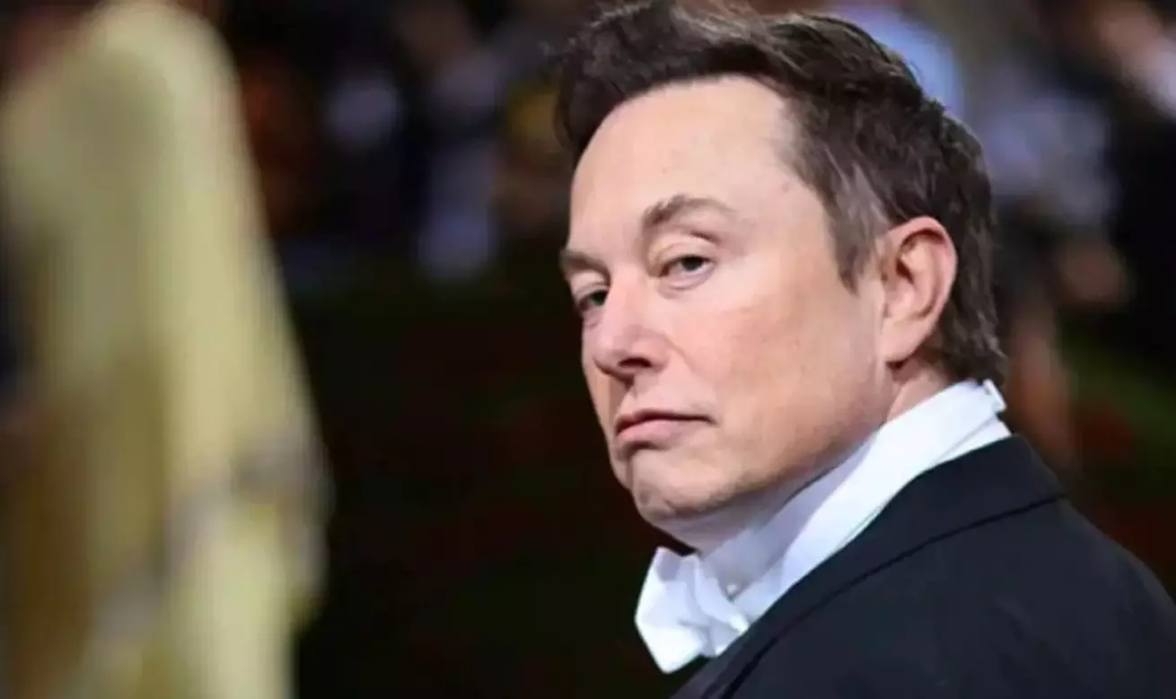 elon