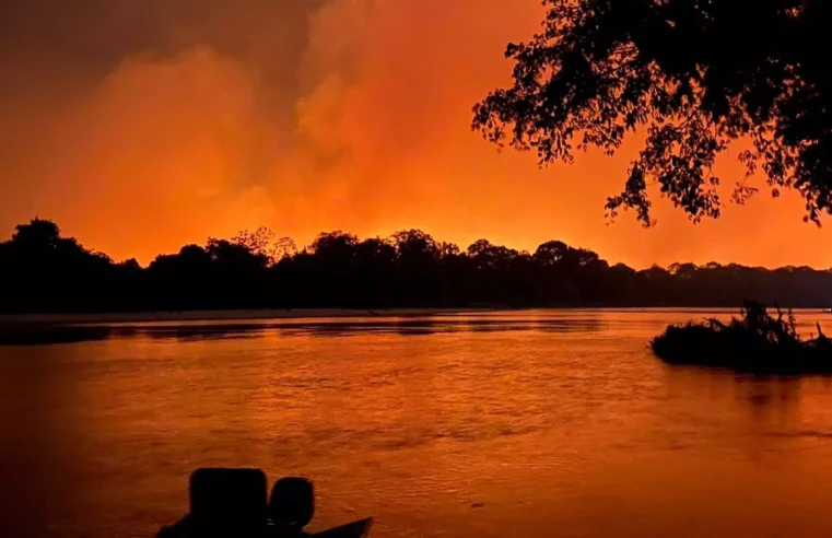Novembro teve média de apenas dois focos de incêndio por dia em Mato Grosso do Sul