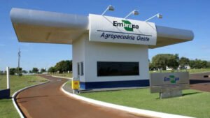 concurso-da-embrapa-segue-com-inscricoes-abertas-salario-ate-r-128-mil-17353959054113-thumb