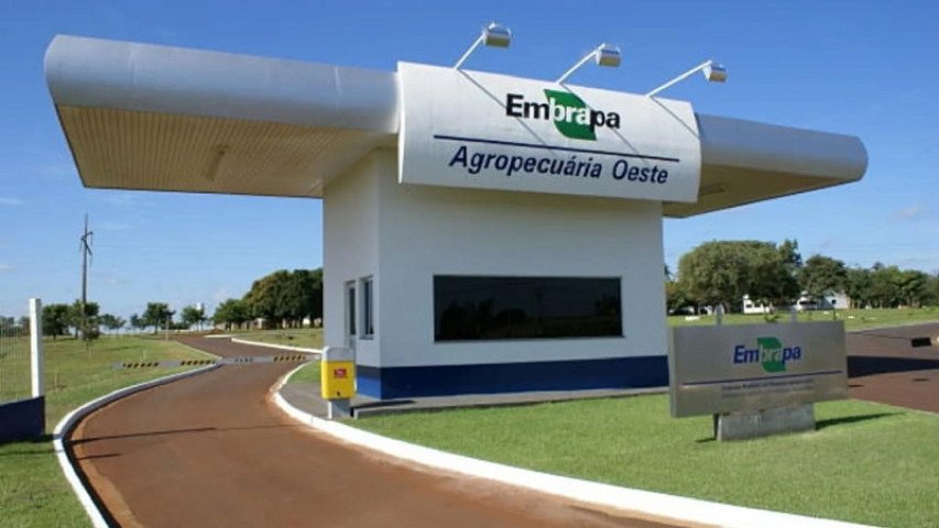 concurso-da-embrapa-segue-com-inscricoes-abertas-salario-ate-r-128-mil-17353959054113-thumb