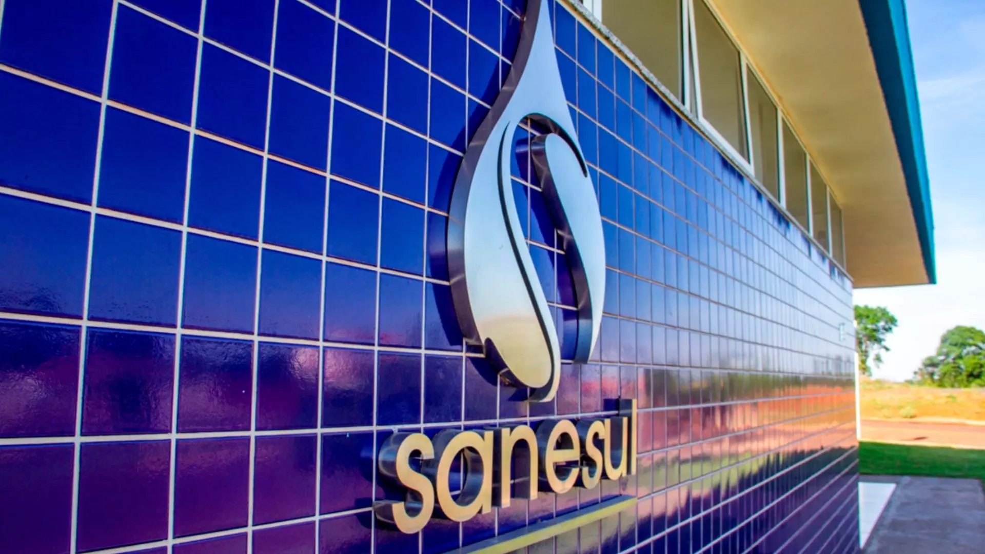 sanesul