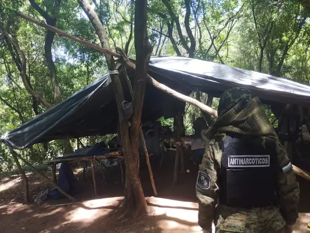 Operação fecha base do tráfico com 12 hectares de maconha plantados.