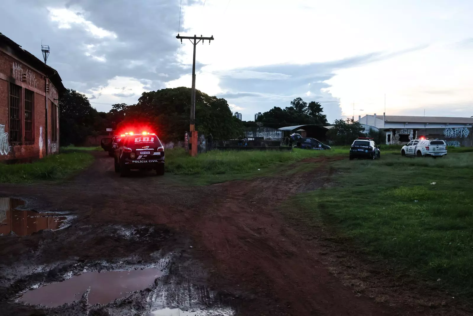 WhatsApp-Image-2025-02-24-at-18.13.10
