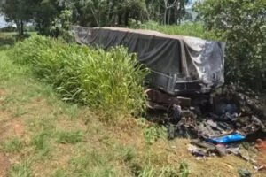 carreta-que-causou-acidente-fatal-em-sete-quedas-transportava-37-toneladas-de-maconha-17406641911408-thumb