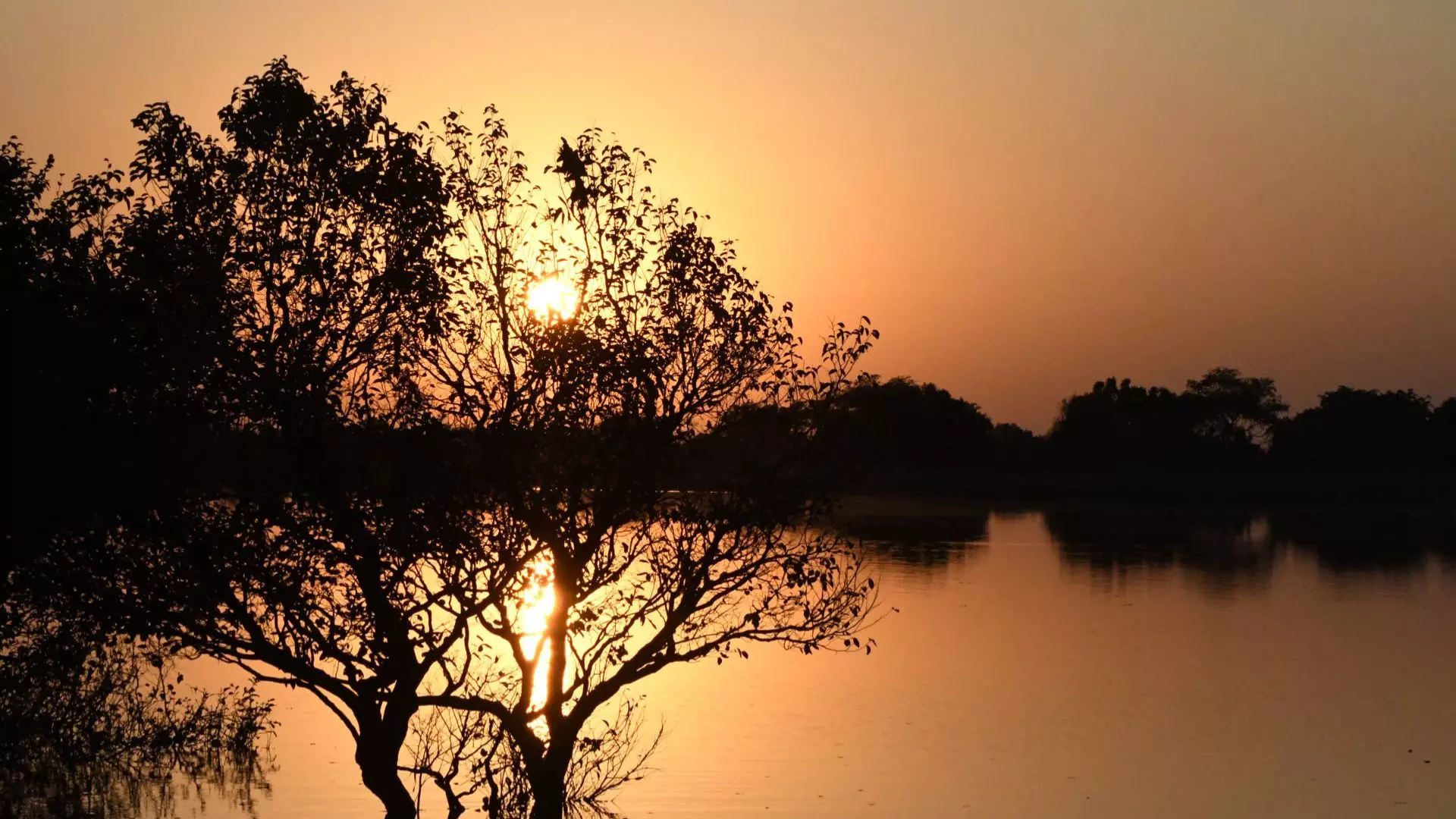 pantanal