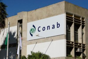 conab-anuncia-concurso-com-403-vagas-para-niveis-superior-e-medio-17432547682368-thumb