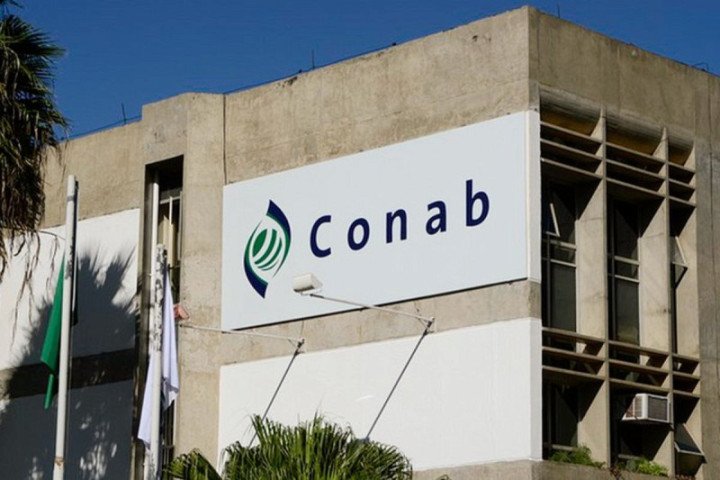 conab-anuncia-concurso-com-403-vagas-para-niveis-superior-e-medio-17432547682368-thumb