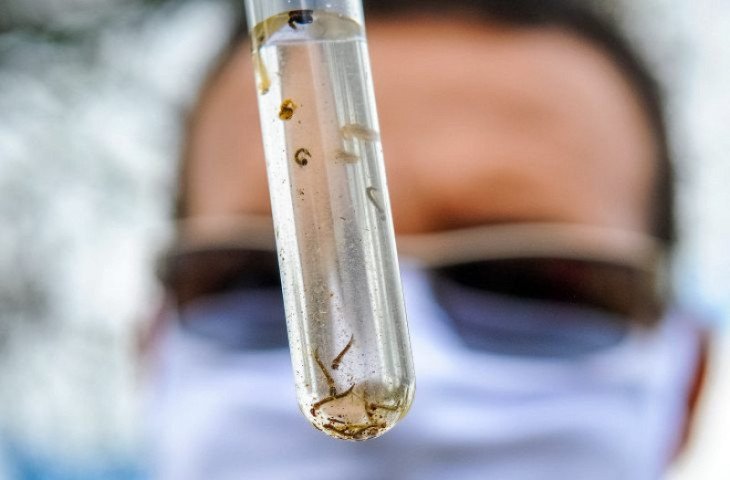 com-400-novos-casos-ms-chega-a-24-mil-pessoas-com-dengue-e-7-mortes-17437826695487-thumb