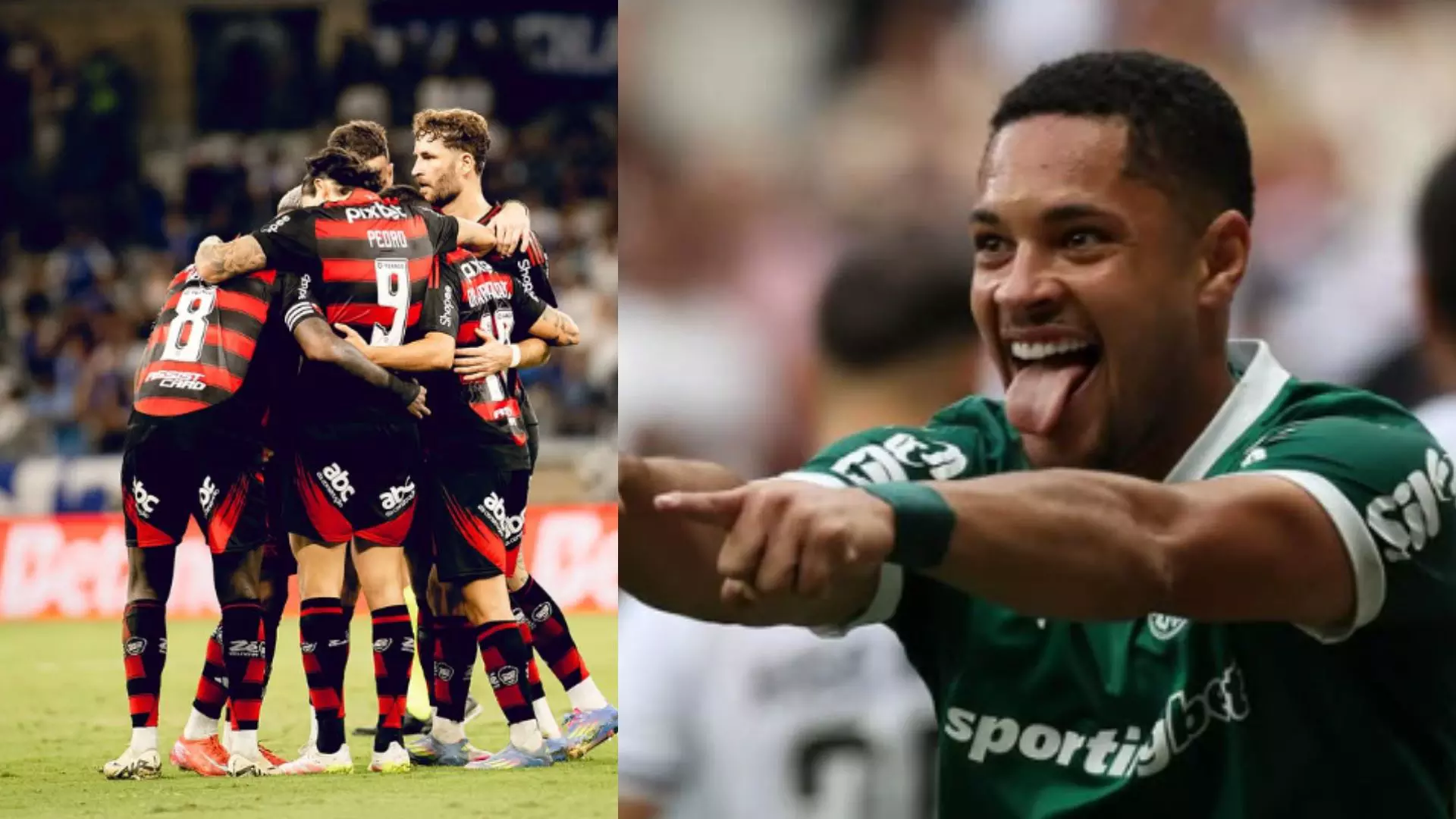 FLAMENGO-DERROTA-PALMEIRAS-BRASILEIRAO