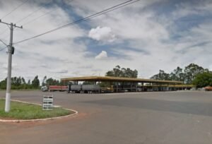 savana