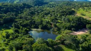 Estancia-mimosa-bonito-1