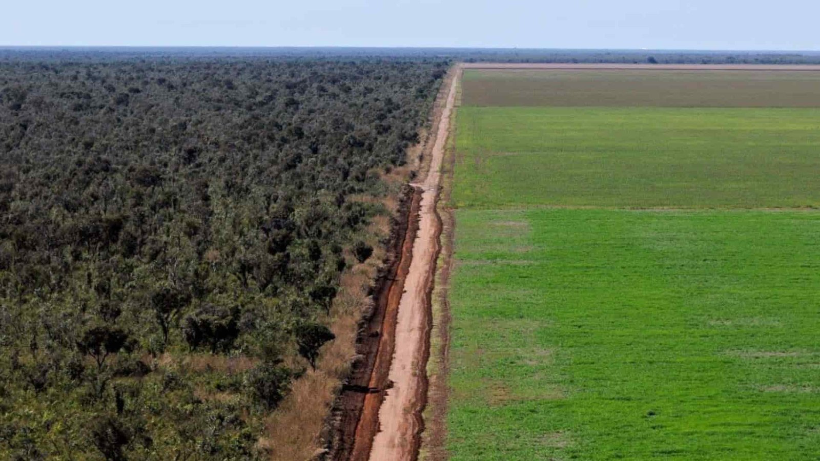 fronteira_wwf