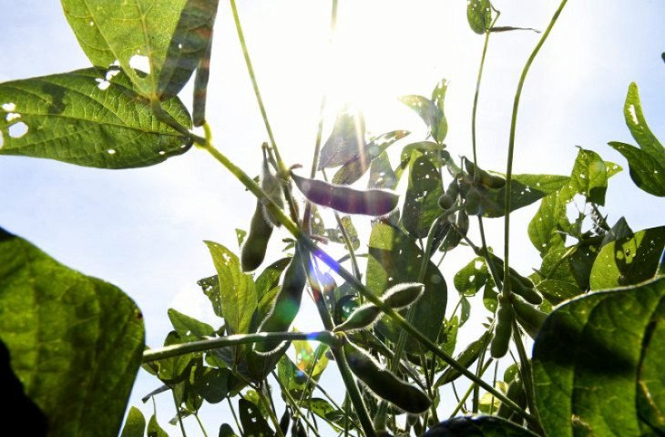 ms-tera-rede-de-meteorologia-com-70-estacoes-fortalecendo-producao-local-17502610171431-thumb